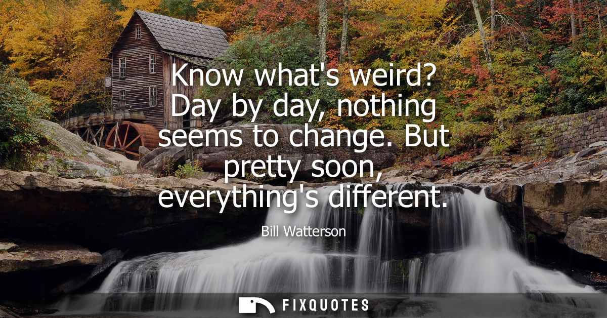 Know whats weird? Day by day, nothing seems to change. But pretty soon, everythings different