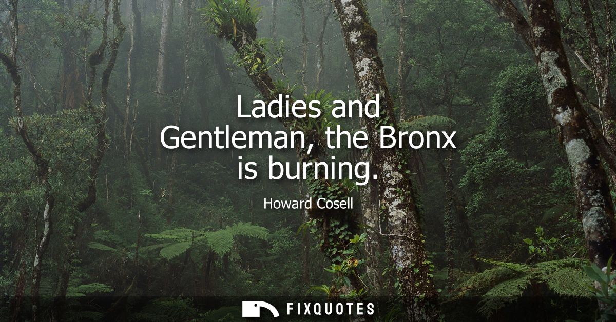 Ladies and Gentleman, the Bronx is burning