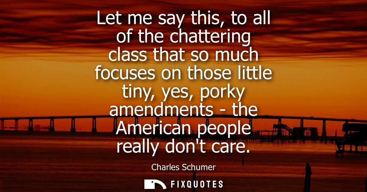 Let me say this, to all of the chattering class that so much focuses on those little tiny, yes, porky amendments - the A