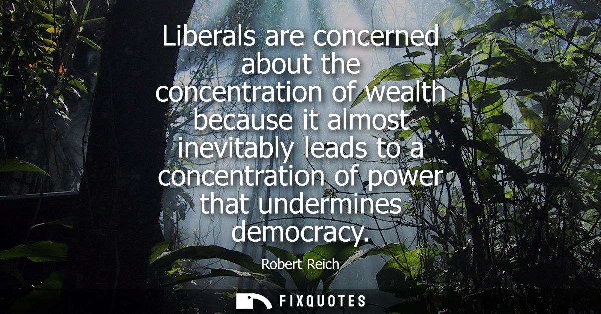 Liberals are concerned about the concentration of wealth because it almost inevitably leads to a concentration of power 