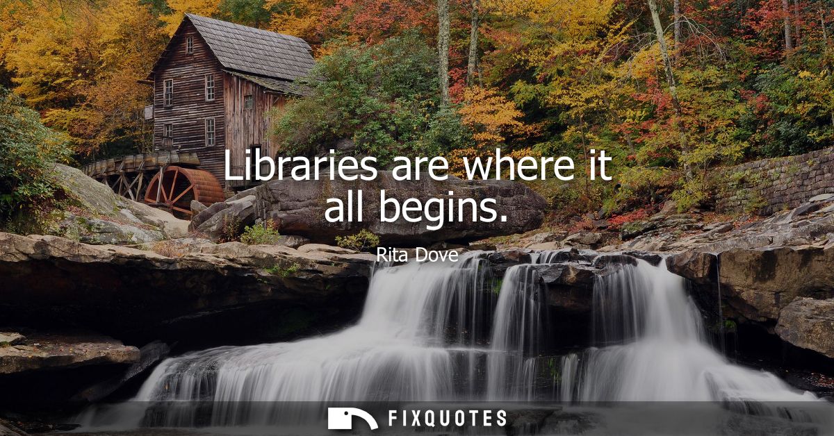 Libraries are where it all begins