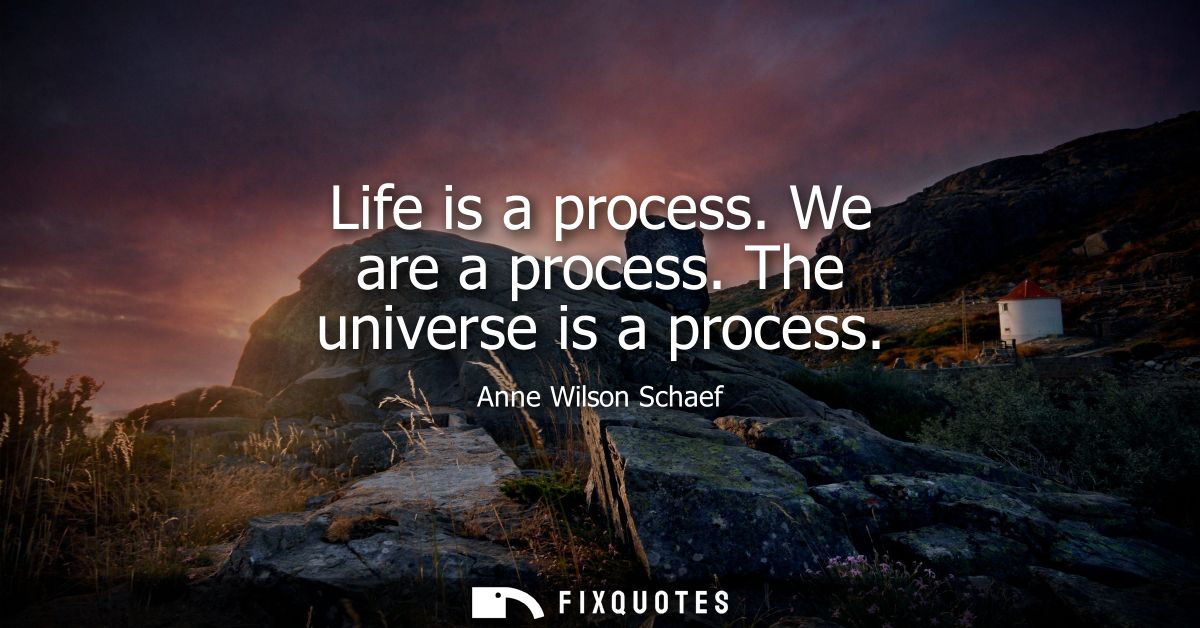Life is a process. We are a process. The universe is a process