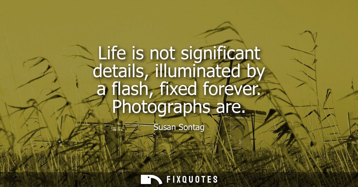 Life is not significant details, illuminated by a flash, fixed forever. Photographs are