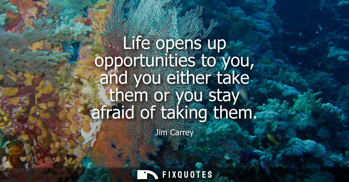 Life opens up opportunities to you, and you either take them or you stay afraid of taking them
