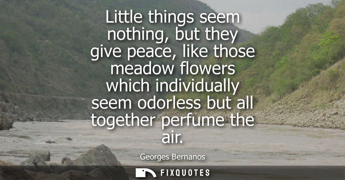 Little things seem nothing, but they give peace, like those meadow flowers which individually seem odorless but all toge