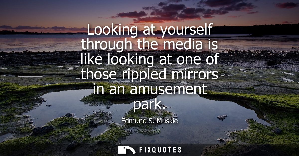 Looking at yourself through the media is like looking at one of those rippled mirrors in an amusement park