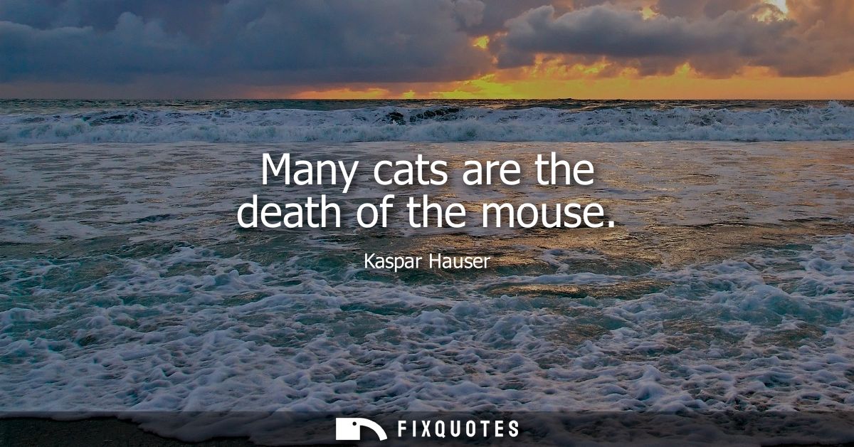 Many cats are the death of the mouse
