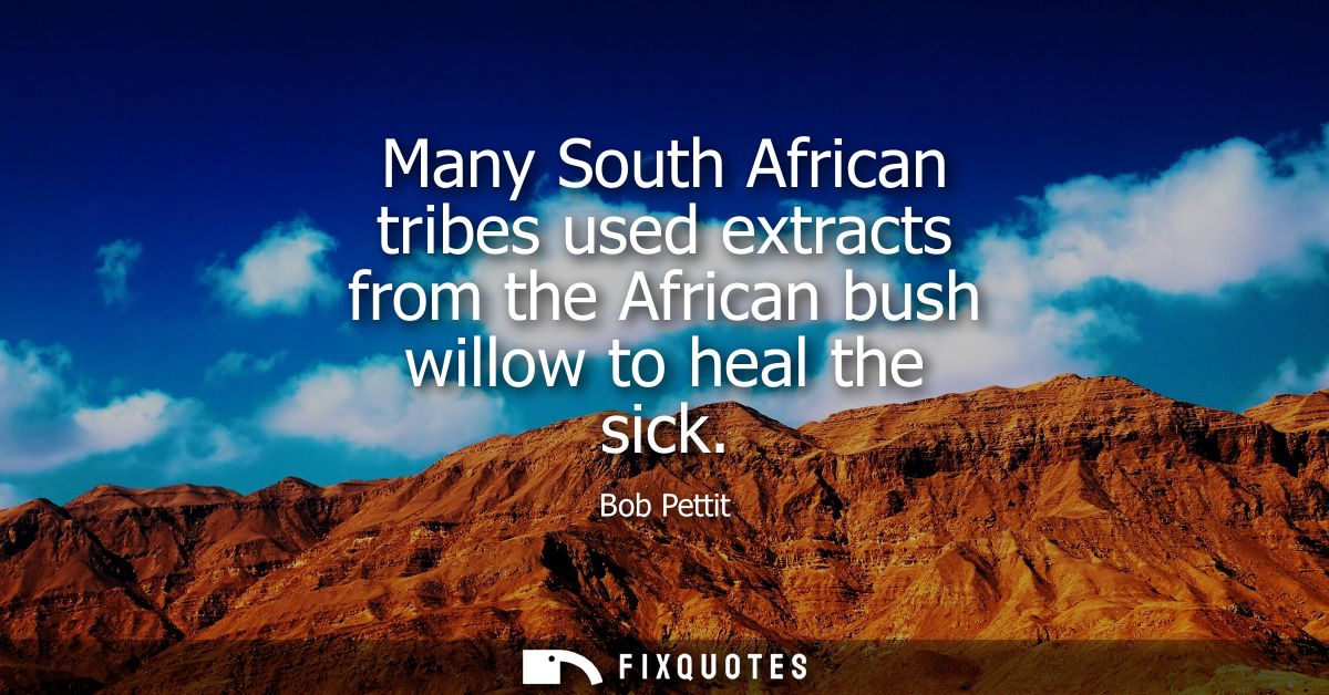 Many South African tribes used extracts from the African bush willow to heal the sick