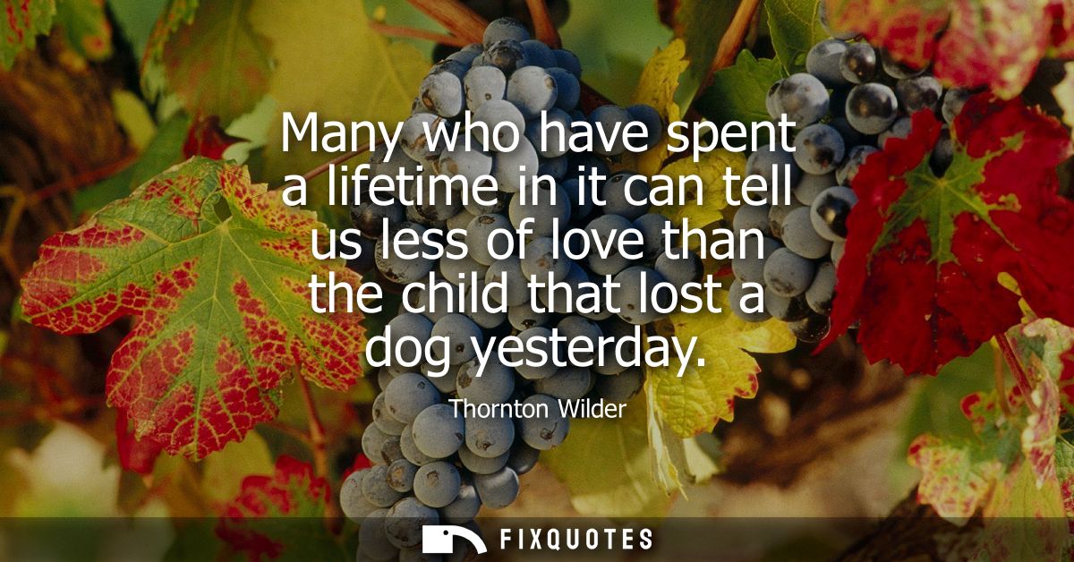Many who have spent a lifetime in it can tell us less of love than the child that lost a dog yesterday