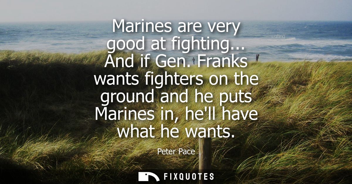 Marines are very good at fighting... And if Gen. Franks wants fighters on the ground and he puts Marines in, hell have w