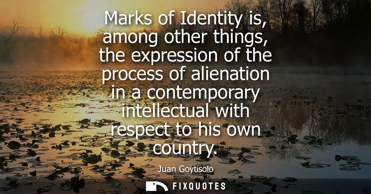 Marks of Identity is, among other things, the expression of the process of alienation in a contemporary intellectual wit