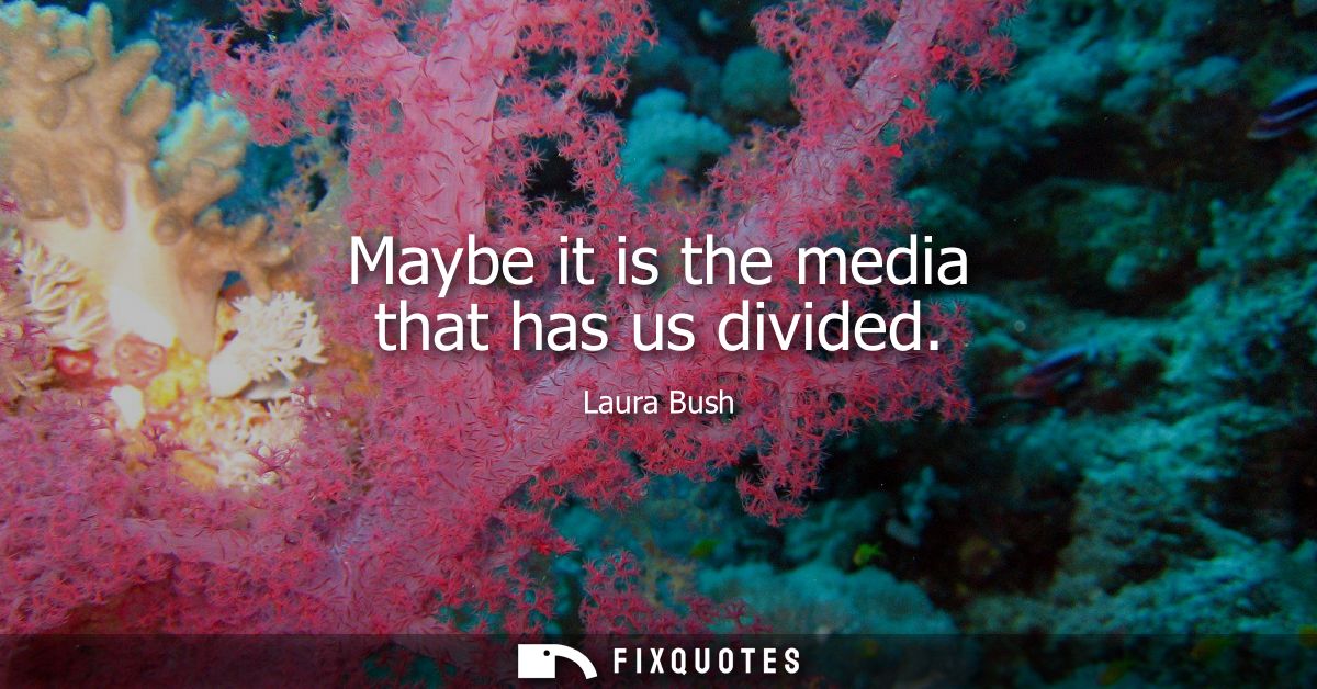 Maybe it is the media that has us divided