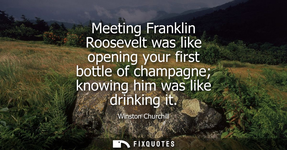 Meeting Franklin Roosevelt was like opening your first bottle of champagne knowing him was like drinking it