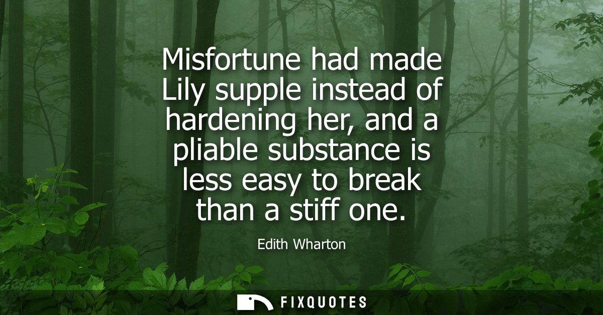 Misfortune had made Lily supple instead of hardening her, and a pliable substance is less easy to break than a stiff one