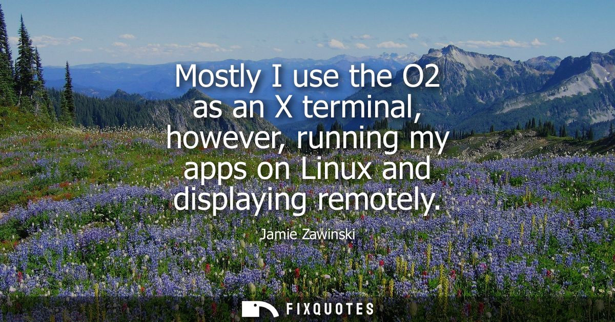 Mostly I use the O2 as an X terminal, however, running my apps on Linux and displaying remotely