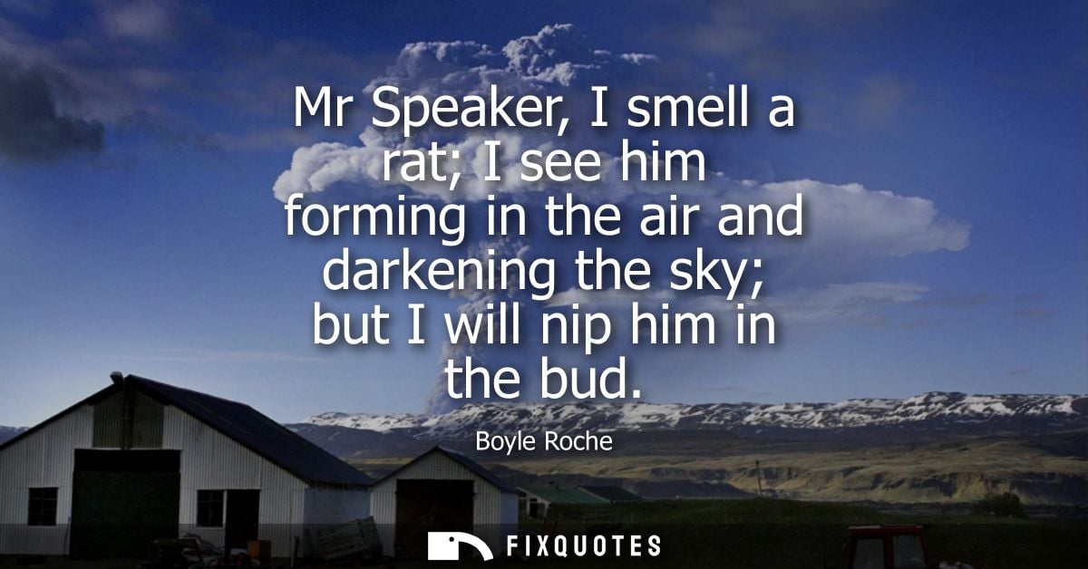 Mr Speaker, I smell a rat I see him forming in the air and darkening the sky but I will nip him in the bud