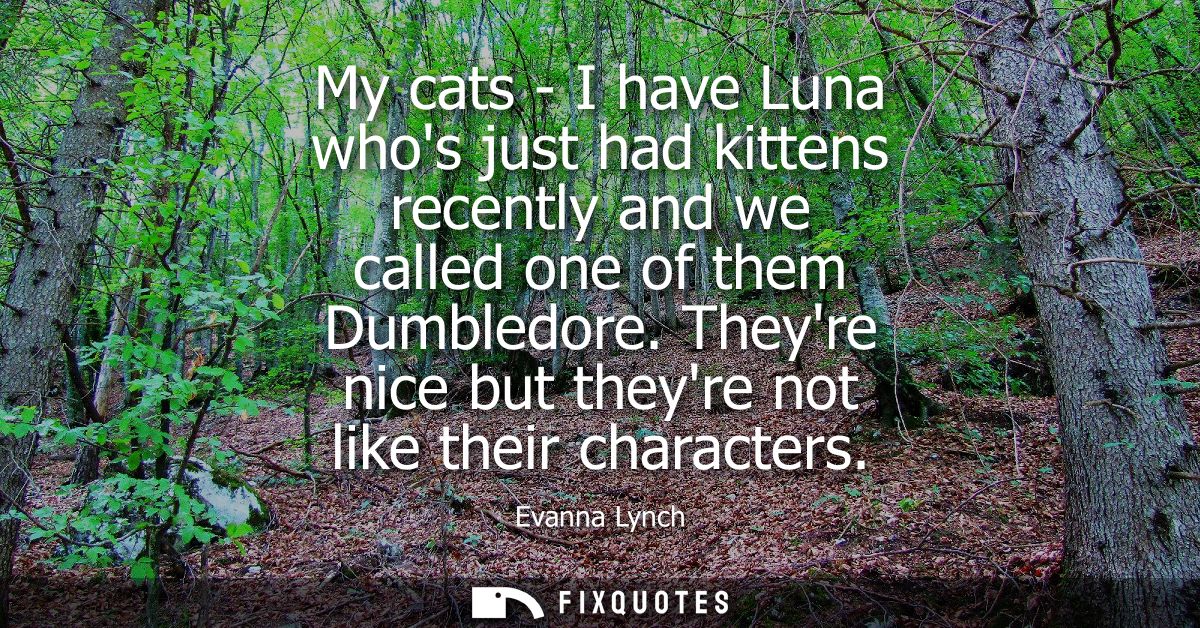 My cats - I have Luna whos just had kittens recently and we called one of them Dumbledore. Theyre nice but theyre not li