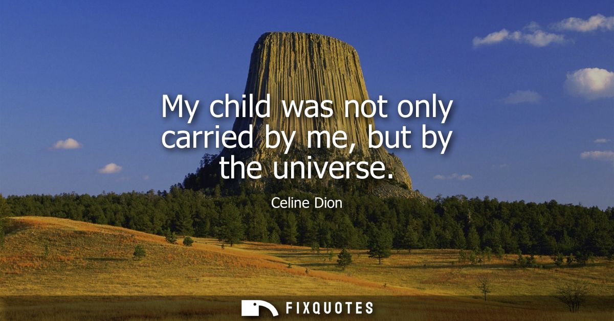My child was not only carried by me, but by the universe