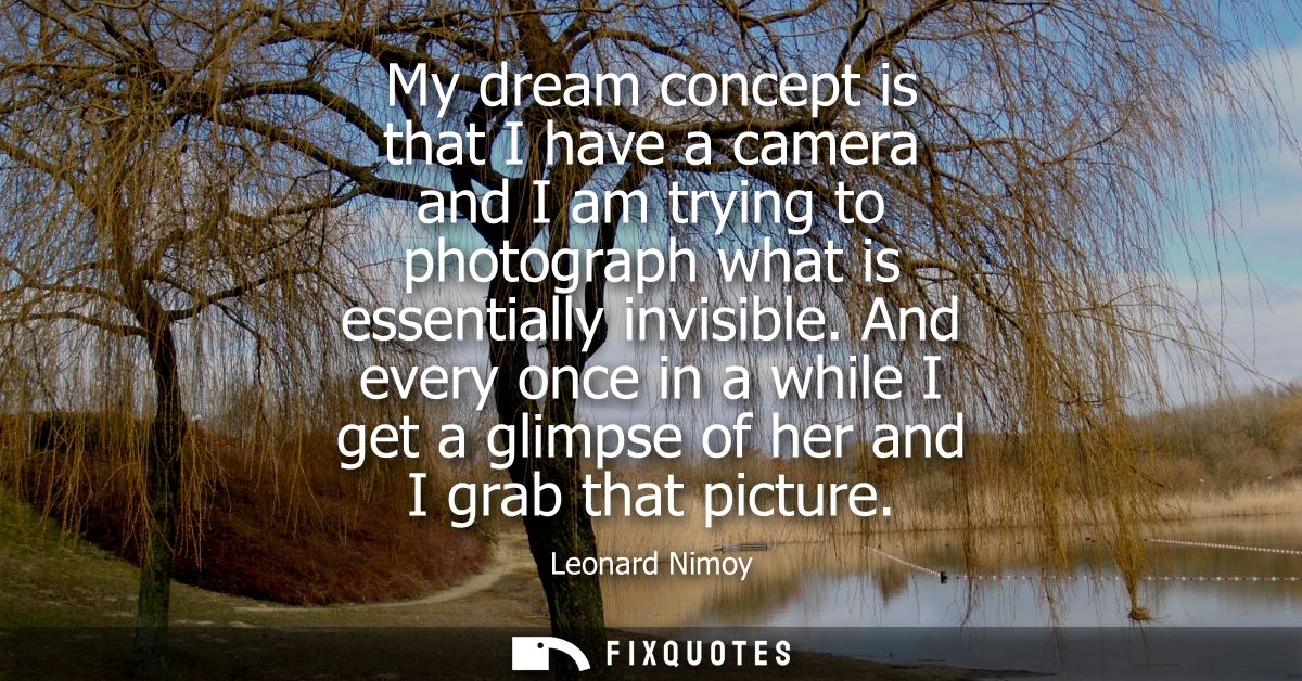 My dream concept is that I have a camera and I am trying to photograph what is essentially invisible.