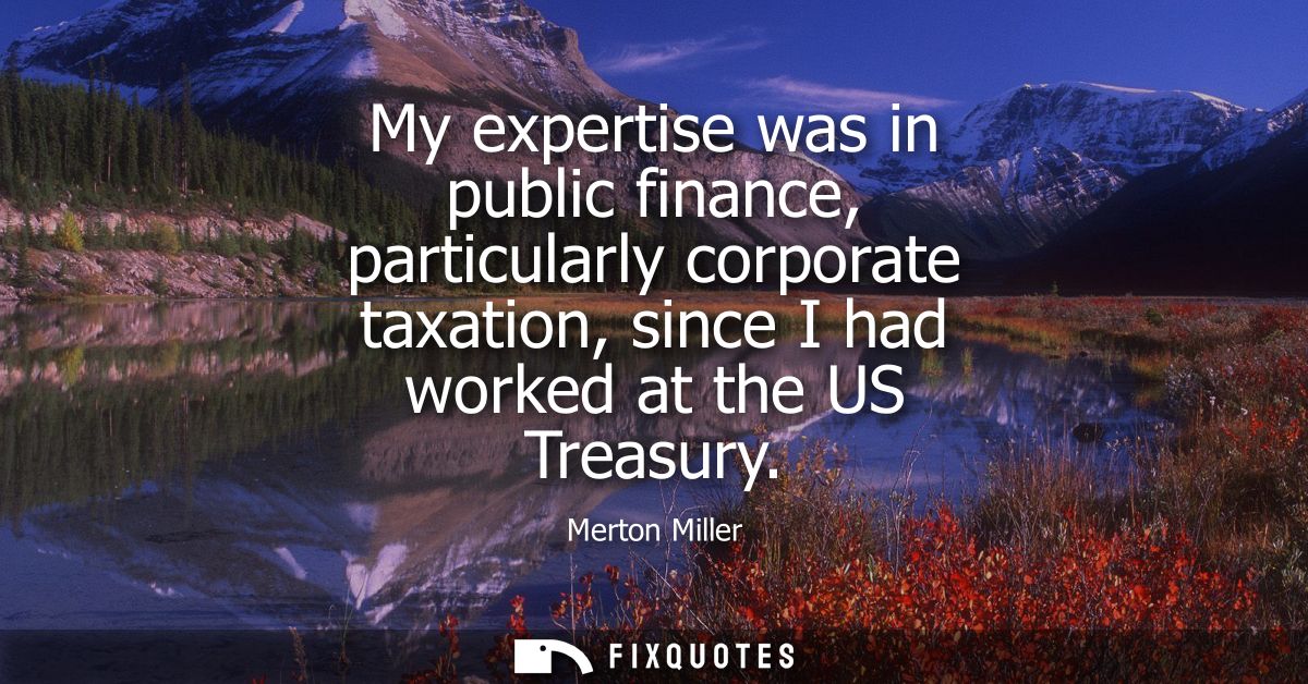 My expertise was in public finance, particularly corporate taxation, since I had worked at the US Treasury