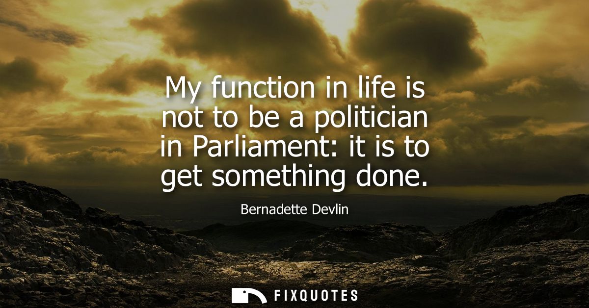 My function in life is not to be a politician in Parliament: it is to get something done