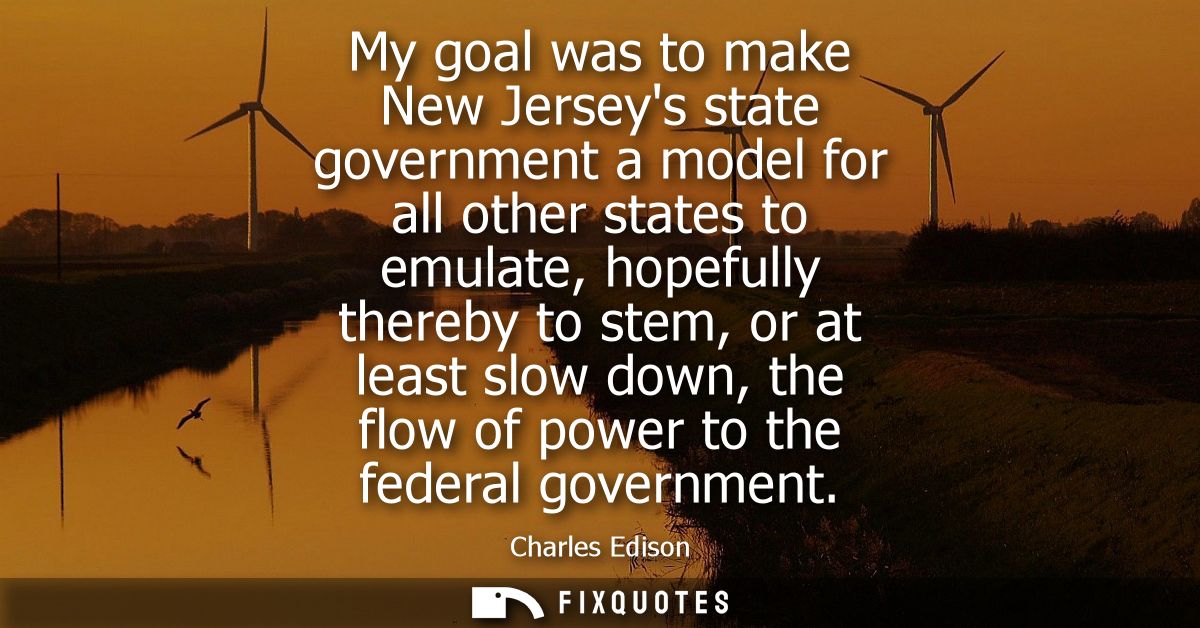 My goal was to make New Jerseys state government a model for all other states to emulate, hopefully thereby to stem, or 