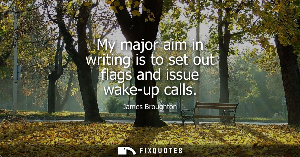 My major aim in writing is to set out flags and issue wake-up calls
