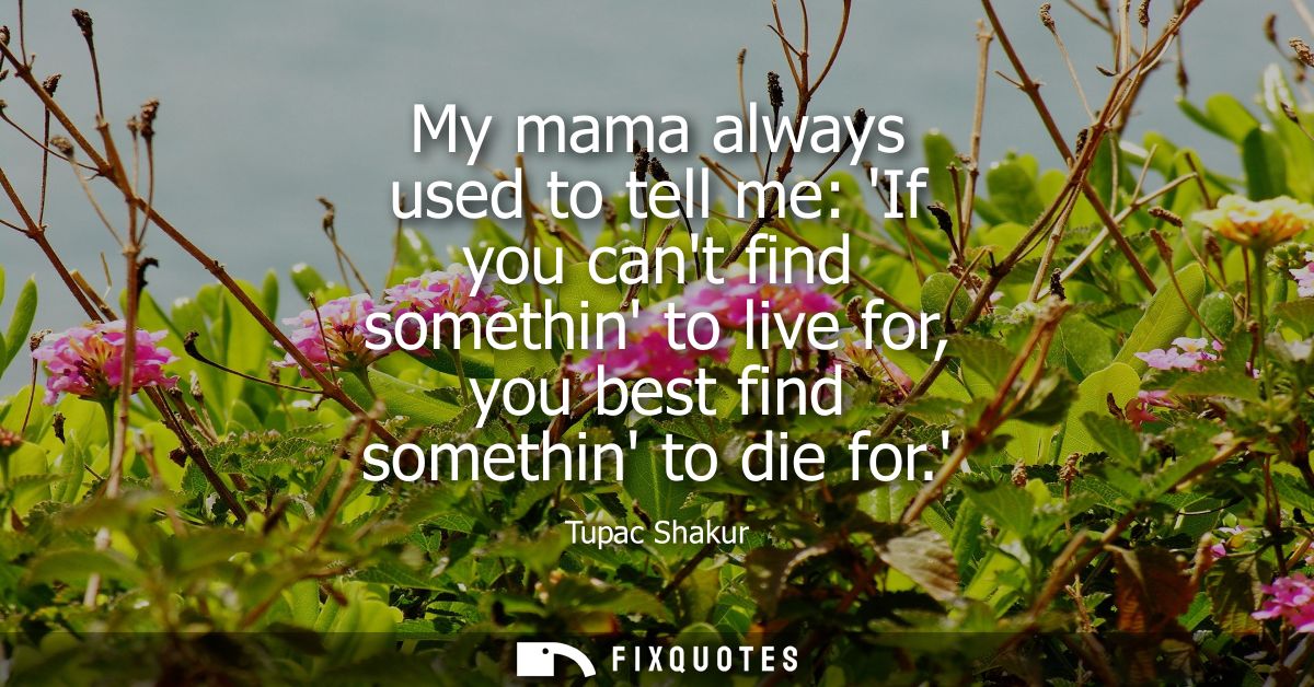 My mama always used to tell me: If you cant find somethin to live for, you best find somethin to die for.