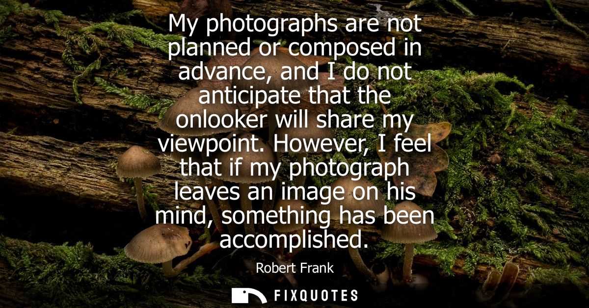 My photographs are not planned or composed in advance, and I do not anticipate that the onlooker will share my viewpoint