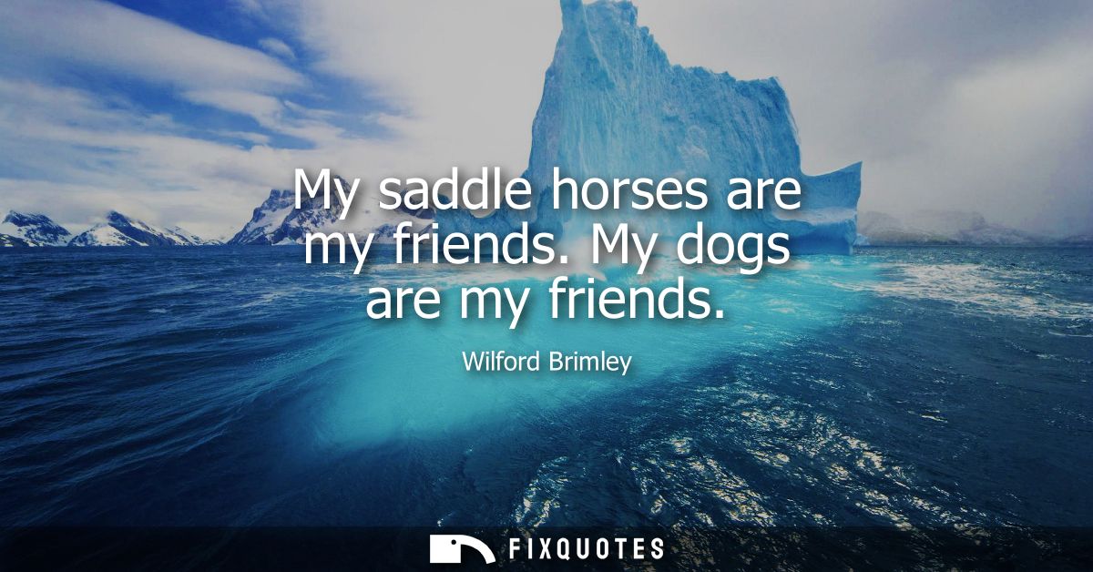 My saddle horses are my friends. My dogs are my friends