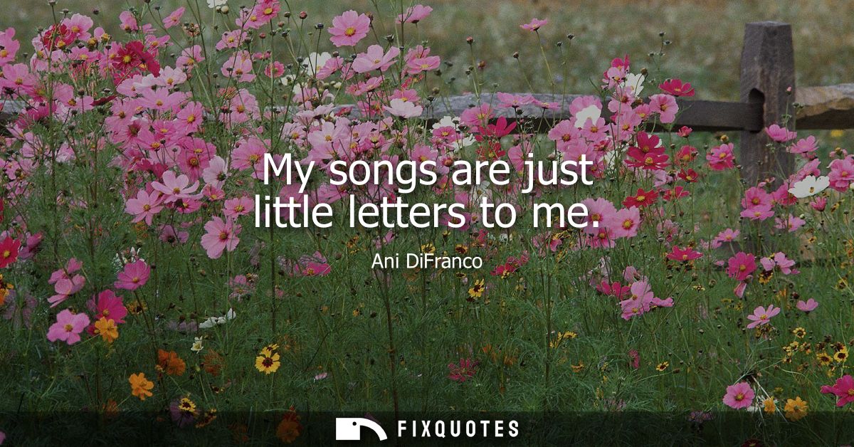 My songs are just little letters to me