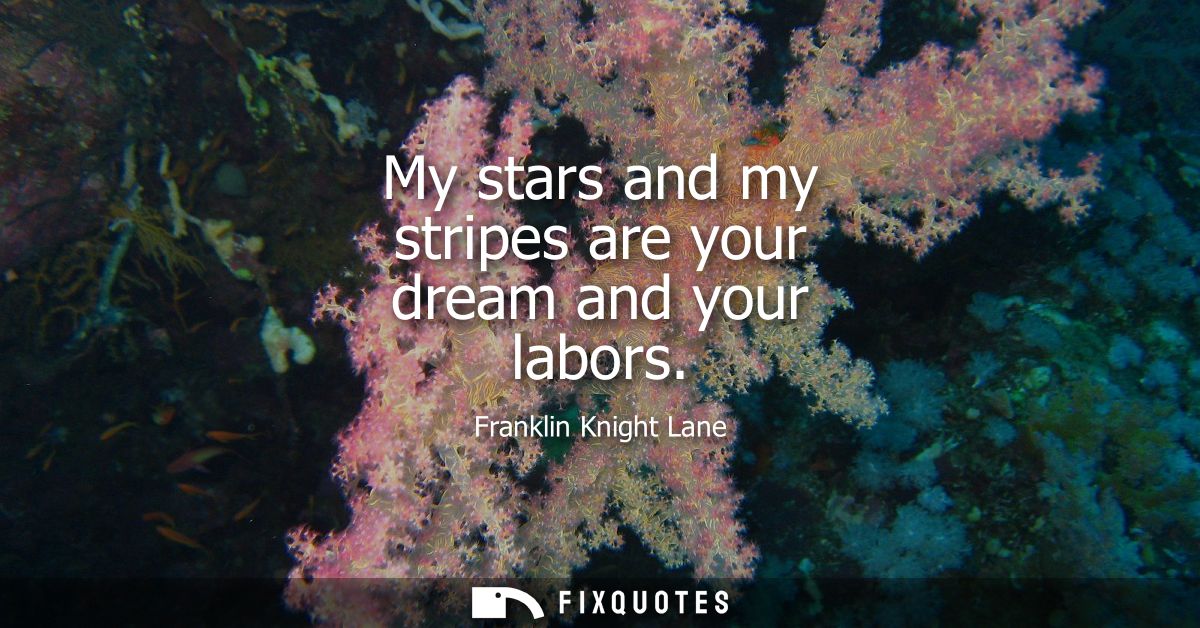My stars and my stripes are your dream and your labors