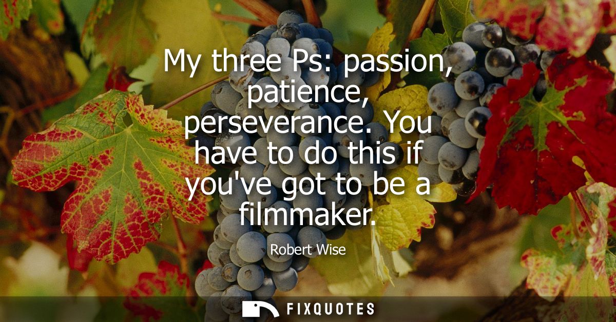 My three Ps: passion, patience, perseverance. You have to do this if youve got to be a filmmaker