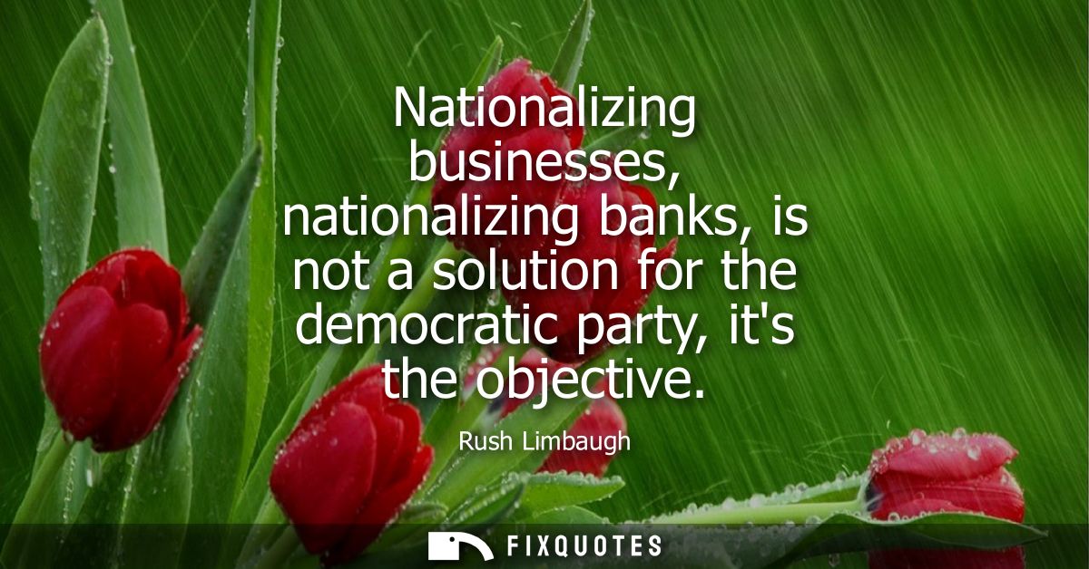 Nationalizing businesses, nationalizing banks, is not a solution for the democratic party, its the objective