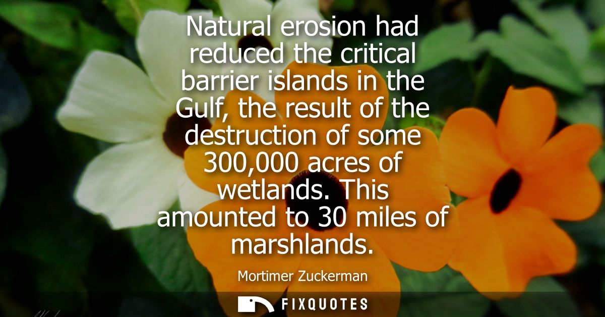 Natural erosion had reduced the critical barrier islands in the Gulf, the result of the destruction of some 300,000 acre