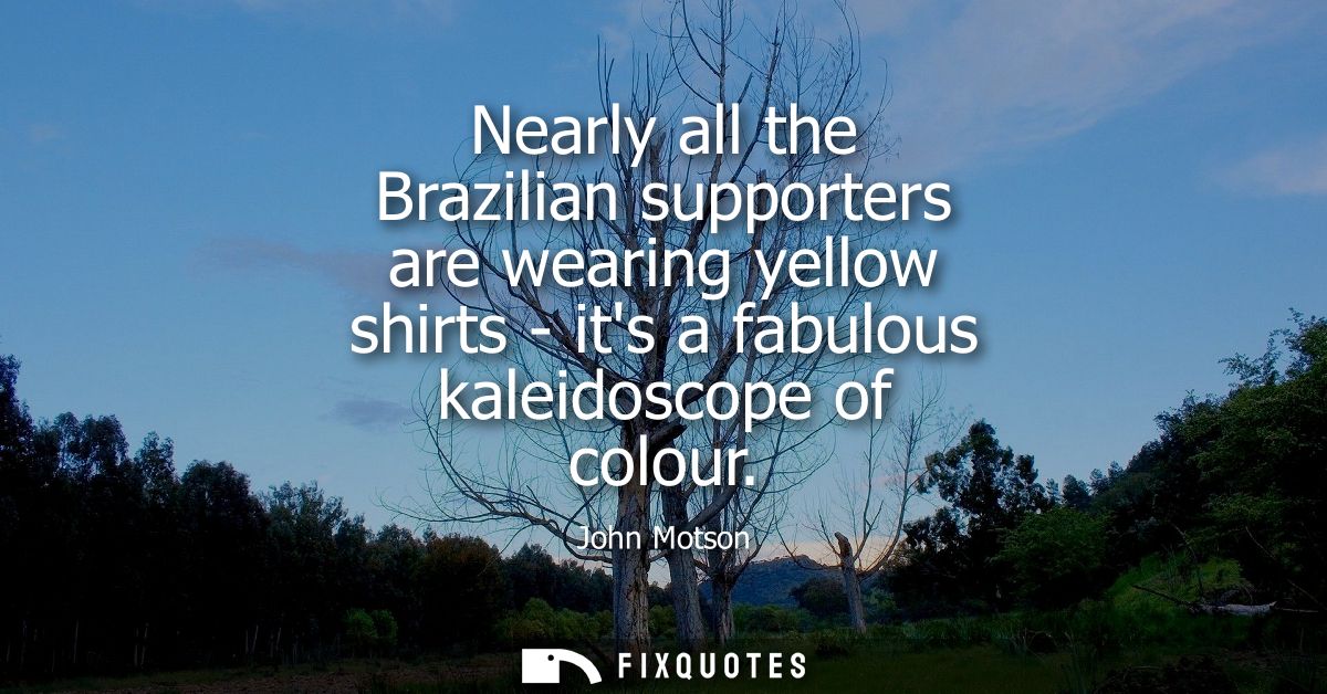 Nearly all the Brazilian supporters are wearing yellow shirts - its a fabulous kaleidoscope of colour