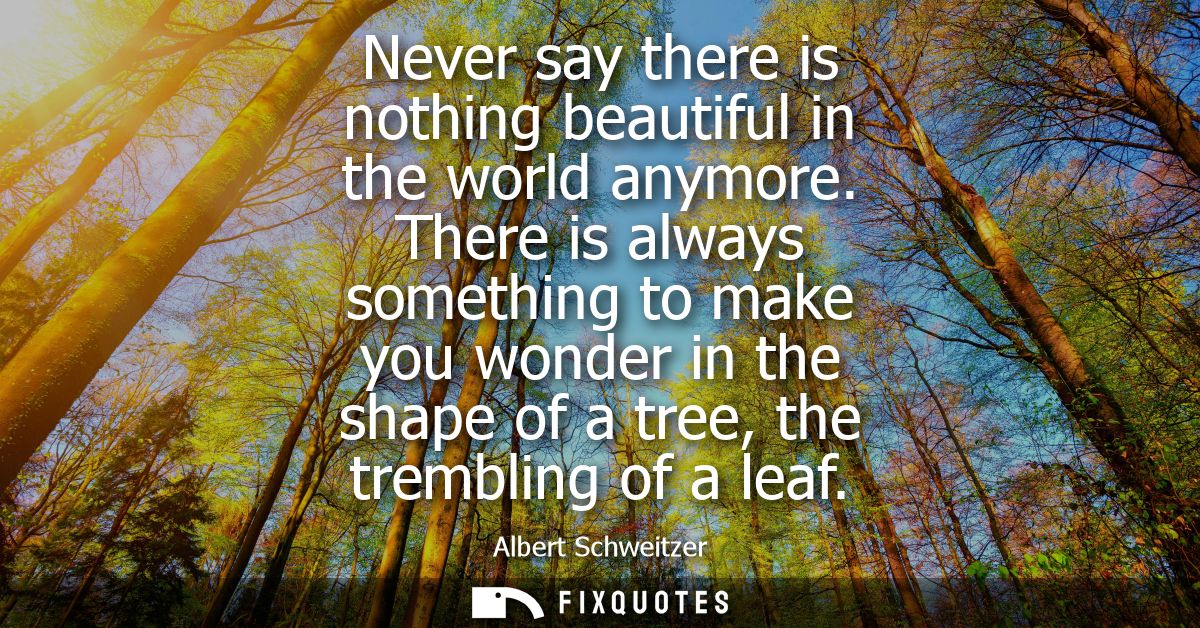 Never say there is nothing beautiful in the world anymore. There is always something to make you wonder in the shape of 