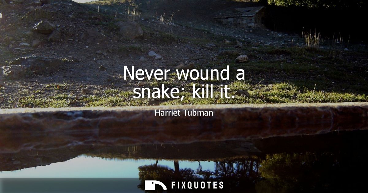 Never wound a snake kill it