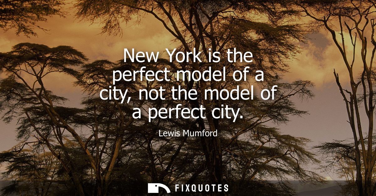 New York is the perfect model of a city, not the model of a perfect city