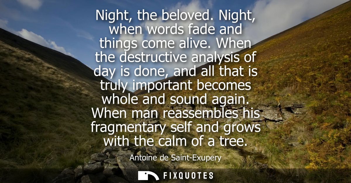 Night, the beloved. Night, when words fade and things come alive. When the destructive analysis of day is done, and all 