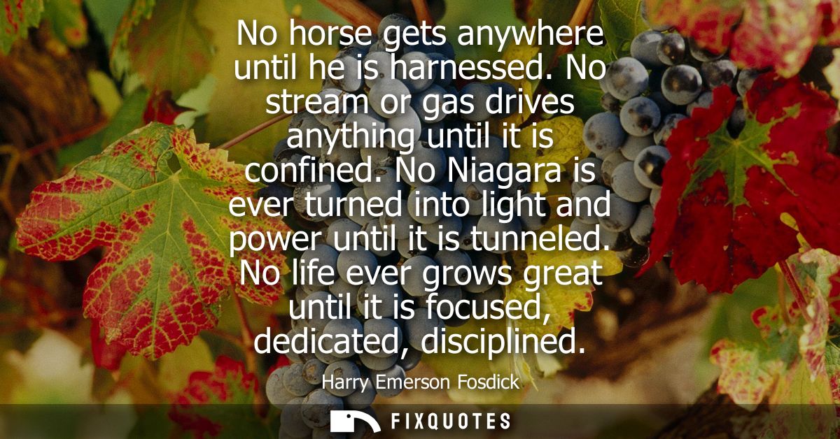 No horse gets anywhere until he is harnessed. No stream or gas drives anything until it is confined. No Niagara is ever 