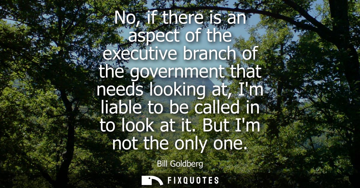 No, if there is an aspect of the executive branch of the government that needs looking at, Im liable to be called in to 