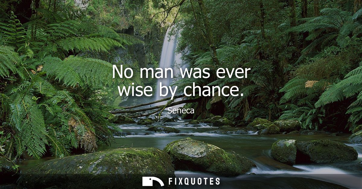 No man was ever wise by chance - Seneca