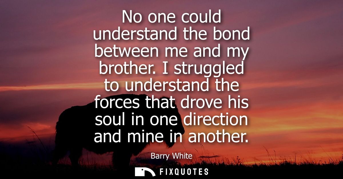 No one could understand the bond between me and my brother. I struggled to understand the forces that drove his soul in 