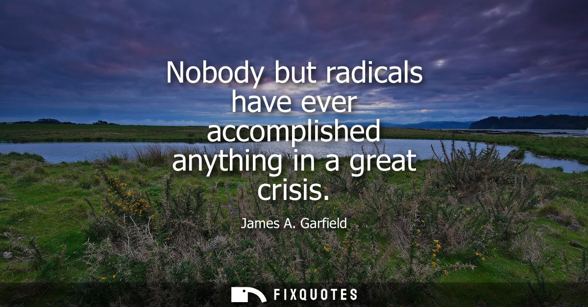 Nobody but radicals have ever accomplished anything in a great crisis
