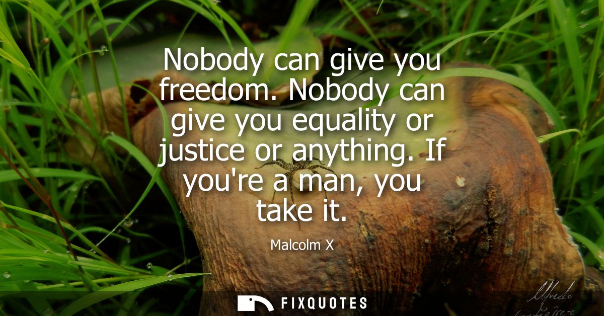Nobody can give you freedom. Nobody can give you equality or justice or anything. If youre a man, you take it