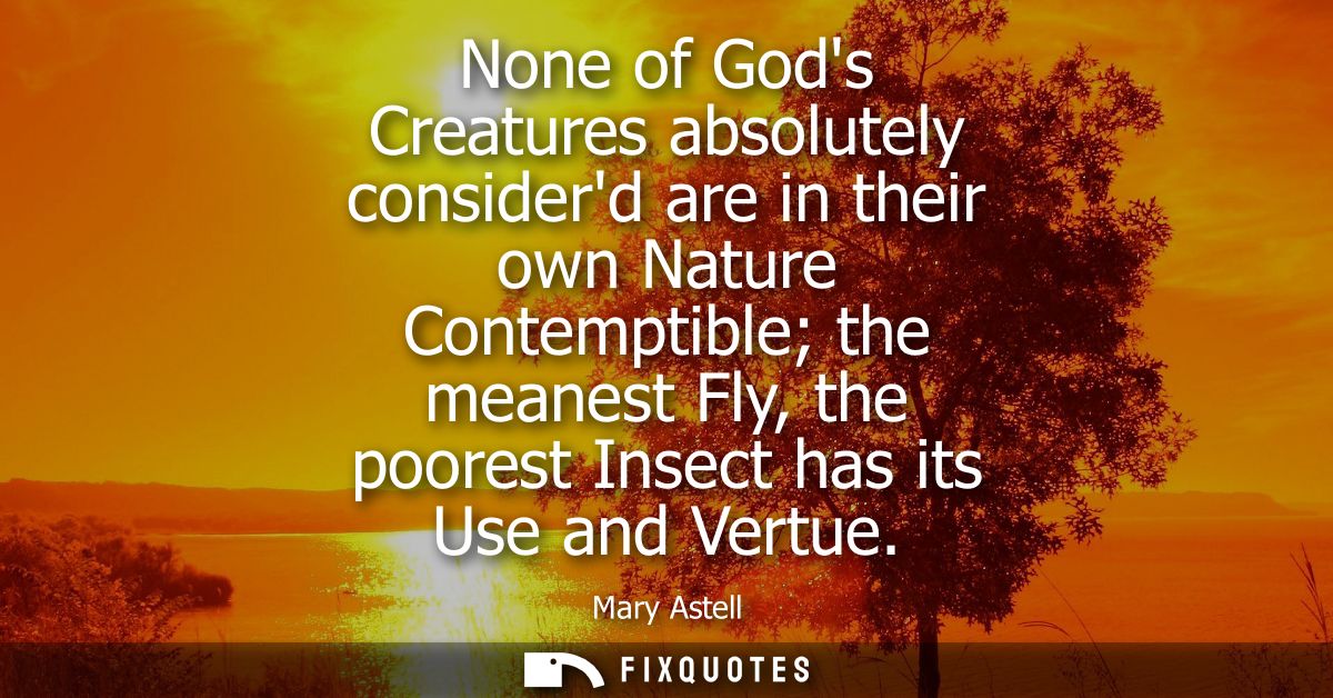 None of Gods Creatures absolutely considerd are in their own Nature Contemptible the meanest Fly, the poorest Insect has