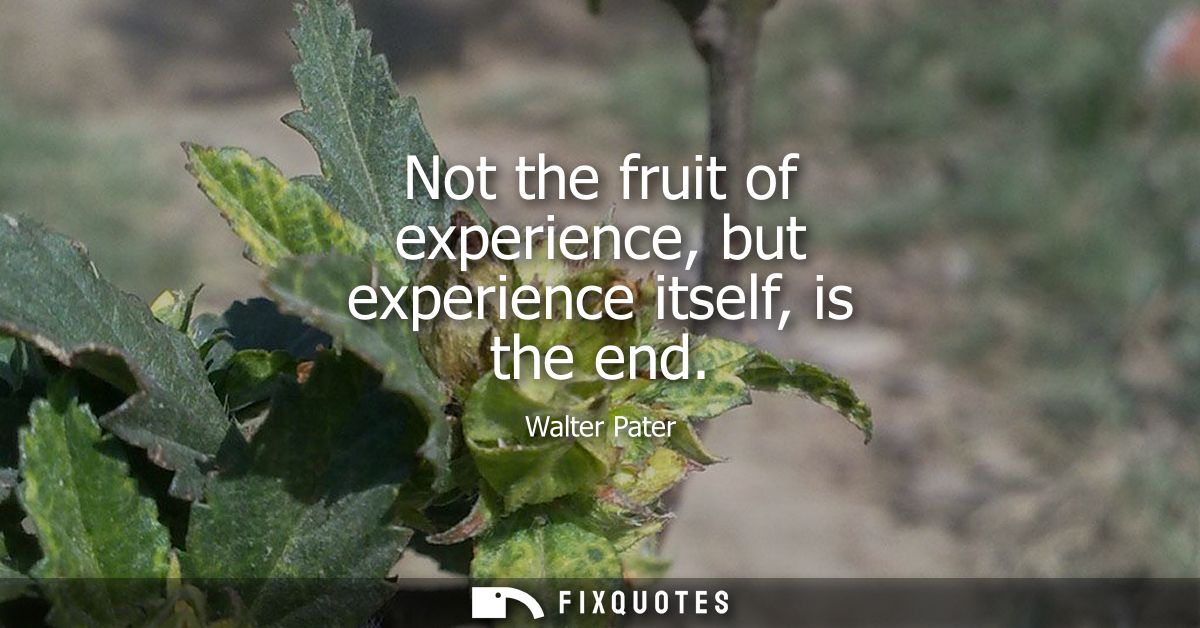 Not the fruit of experience, but experience itself, is the end