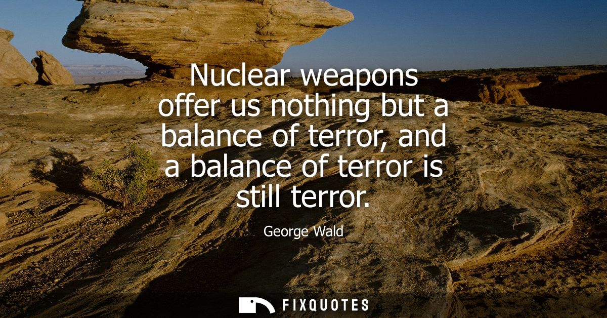 Nuclear weapons offer us nothing but a balance of terror, and a balance of terror is still terror