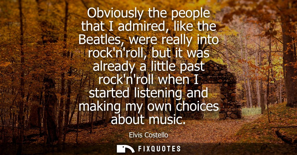 Obviously the people that I admired, like the Beatles, were really into rocknroll, but it was already a little past rock